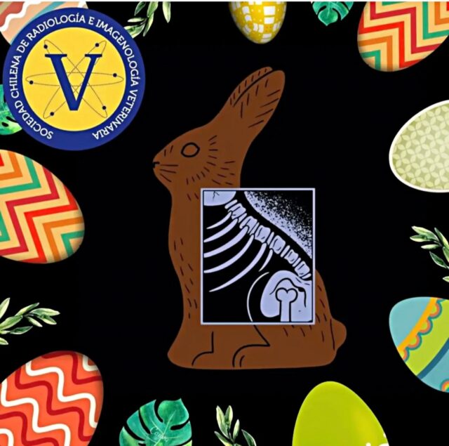 ¡Felices Pascuas! 🐰✨

​Hoy dejamos de lado los diagnósticos complejos para enfocarnos en lo más importante: compartir en familia y disfrutar un momento de paz.

​Un gran abrazo de parte de todo el equipo de SOCHIRAV. 🐾