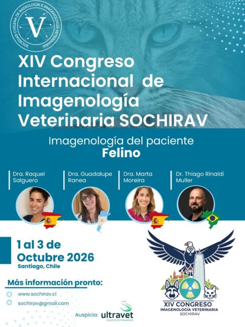 ​¡Hoy queremos soltar una bombita informativa! 💣💥

​Sabemos que lo estaban esperando y que nos han preguntado muchísimo... ¡Ya es una realidad! Tenemos el honor de presentarles a los conferencistas internacionales que nos acompañarán en el XIV Congreso Internacional de Imagenología Veterinaria SOCHIRAV.

​Este año nos enfocaremos en la imagenología del paciente felino 🐱 y contamos con un panel de lujo:

🇪🇸 Dra. Raquel Salguero
🇦🇷 Dra. Guadalupe Ranea
🇪🇸 Dra. Marta Moreira
🇧🇷 Dr. Thiago Rinaldi Muller

​¡Pronto lanzaremos el programa completo y les adelantamos que está imperdible! 📋✨

​🗓️ 1 al 3 de Octubre 2026
📍 Santiago, Chile

​¿Desde dónde nos acompañarán este año? Cuéntennos en los comentarios 👇

​#SOCHIRAV2026 #ImagenologiaVeterinaria #MedicinaFelina #CongresoVeterinario #VeterinariosChile