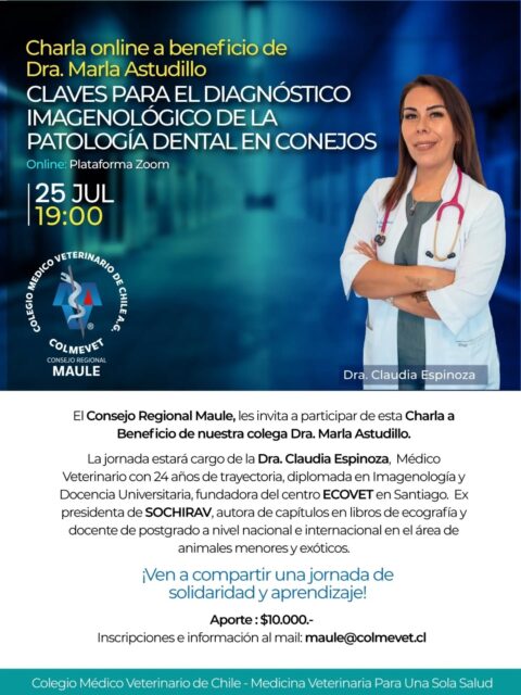 Una de nuestras socias y colegas más queridas, la Dra. Marla Astudillo (@marliwi_), está pasando por un momento difícil y necesita de toda nuestra ayuda. 🐾💙
Como su familia veterinaria e imagenológica, nos estamos movilizando y organizando diversas actividades a beneficio para apoyarla. Por eso, los dejamos a todos cordialmente invitados a participar en esta gran charla solidaria a cargo de la tremenda Dra. Claudia Espinoza (@clau_ecovet).
📚 Tema: Claves para el diagnóstico imagenológico de la patología dental en conejos
🗓 Fecha: 25 de Julio
⏰ Hora: 19:00 hrs.
💻 Plataforma: Zoom (Online)
💰 Aporte: $10.000.
¡Ven a compartir una jornada de solidaridad y aprendizaje junto a una gran exponente de la medicina de animales exóticos! 🐇✨
📩 Inscripciones e información: Escríbe directamente al correo maule@colmevet.cl
¡Tu apoyo hace la diferencia! Ayúdanos a difundir compartiendo esta publicación. 🙏❤️
