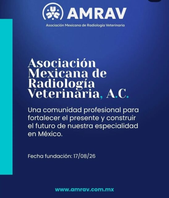 ​🇲🇽🎉 ¡Un día histórico para la Radiología Veterinaria en Latinoamérica! 🎉🇲🇽

​Con inmensa alegría y orgullo, queremos extender nuestras más sinceras felicitaciones a nuestra sociedad hermana, la Asociación Mexicana de Radiología Veterinaria (AMRAV), en su fecha de fundación oficial: el 17 de agosto de 2026. 🗓️✨

​Este no es solo un logro para México; es otro gran paso para toda Latinoamérica y un hito fundamental para la consolidación de nuestra alianza regional de profesionales. La creación de AMRAV fortalece el presente y construye el futuro de nuestra especialidad, uniendo fuerzas para elevar los estándares de la radiología veterinaria en toda la región. 🤝🧬

​¡Bienvenidos a bordo, colegas y amigos de AMRAV! Su dedicación y visión inspiran. Estamos emocionados por los proyectos, la colaboración y el crecimiento que lograremos juntos. 🐾💙

​¡Muchos éxitos en este camino que hoy inician! 🚀
​

​
#RadiologiaVeterinaria #VeterinariaLatam #AMRAV #VeterinariosMexico #SaludAnimal