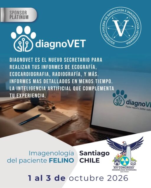 ¡Seguimos sumando gigantes a nuestro congreso! 🚀

​Estamos felices y orgullosos de presentar a DiagnoVET como Sponsor Platinum. Contar con su respaldo reafirma nuestro objetivo: traer la mejor tecnología, precisión e innovación diagnóstica a este gran encuentro.

​Tener a @diagnovet.latam con nosotros significa elevar la vara y ofrecerles una experiencia formativa de primer nivel.
​
​Asegura tu entrada al congreso antes de que se agoten los cupos. ¡El enlace de inscripción está directo en nuestra bio!

​¿Nos vemos este 1 y 2 de octubre? ¡Comenta abajo si ya tienes tu entrada! 👇🩺

​#CongresoSOCHIRAV #SOCHIRAV #Diagnovet #SponsorPlatinum