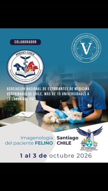 ​Para lograr el éxito del XIV Congreso SOCHIRAV, la dedicación de todos es clave, ¡y eso incluye a nuestras empresas amigas! No son solo colaboradores, son parte fundamental de esta gran comunidad que busca elevar el nivel de la imagenología veterinaria. 🐈‍⬛

​Gracias a su increíble apoyo, no solo tendremos expositores de primera, ¡sino también premios geniales, regalos prácticos y un montón de sorpresas divertidas que harán de este congreso una experiencia inolvidable! 🎉📚

​Así que cuando estén en el evento disfrutando de todo, recuerden que hay un gran equipo de marcas amigas que creen en ustedes tanto como nosotros.

​¡Nos vemos pronto en Santiago! 🇨🇱

​#ComunidadSOCHIRAV #GraciasAmigos #ImagenologiaVeterinaria #Gatos #SaludAnimal